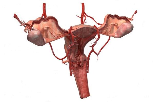 motive pentru dezvoltarea venelor varicoase ale pelvisului mic